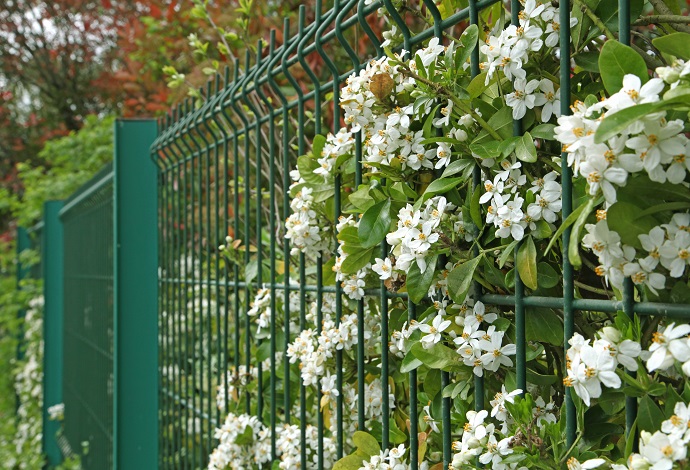 cennik ogrodzenia - montaż, koszt robocizny 1m ogrodzenia